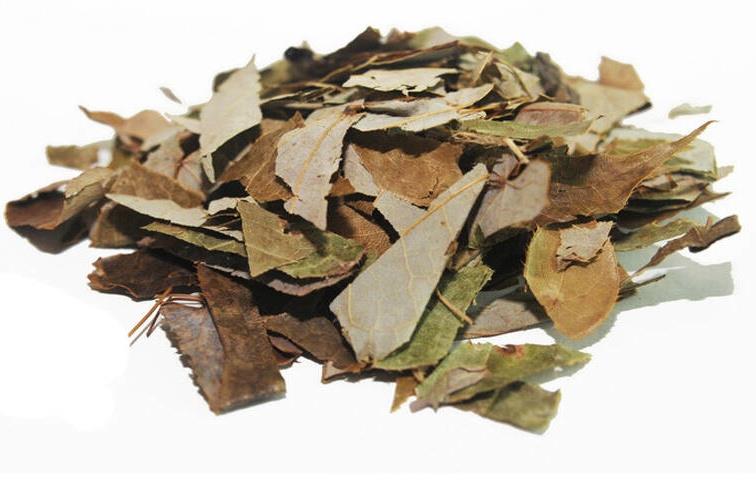 Medicina Herbal äjwi 'ñithi polvo ar extracto ar Epimedium