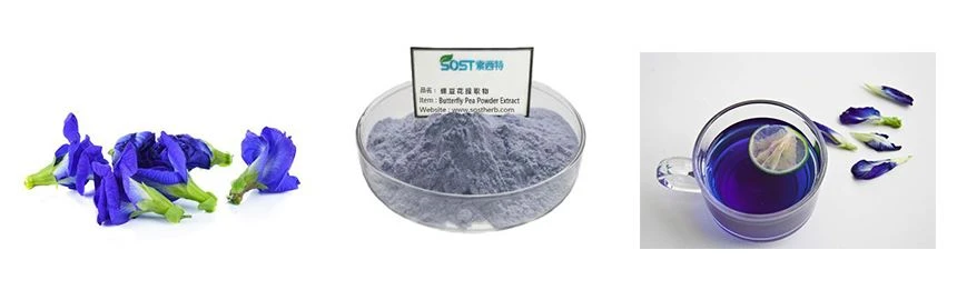 butterfly pea extract butterfly pea extract