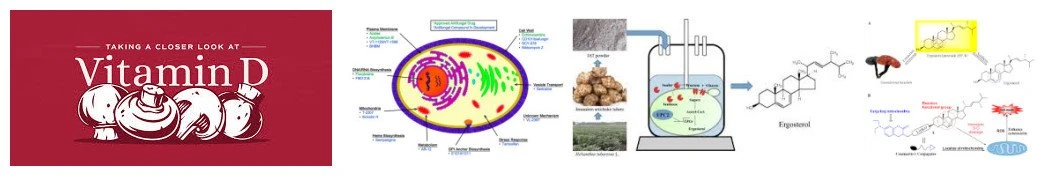 images (2)_