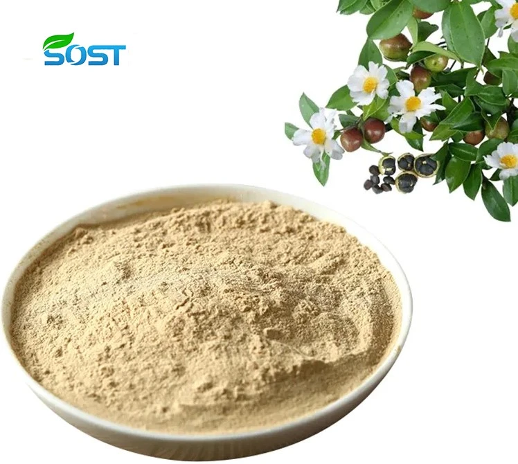 tea saponin powder4