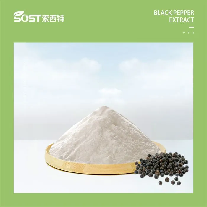 Black Pepper Fruit Extract Powder