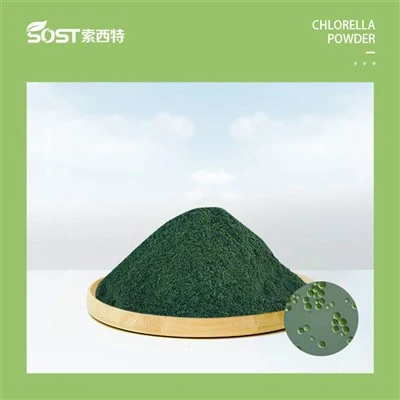 Púdar Sliocht Chlorella