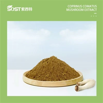 Sliocht muisiriún coprinus comatus