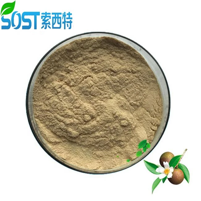 Saponins Powder