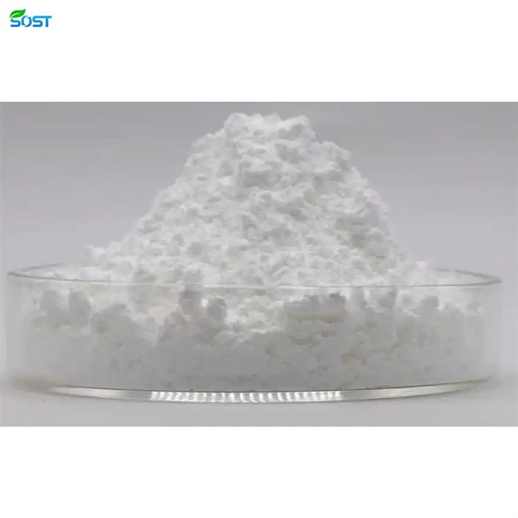 Lactiplantibacillus lantarum Powder2