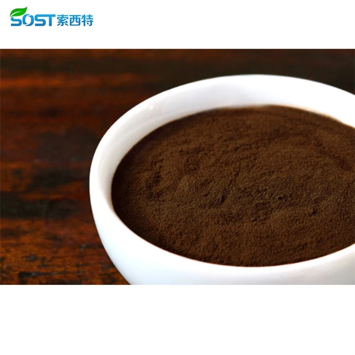 Buy Reishi Mushroom Extract